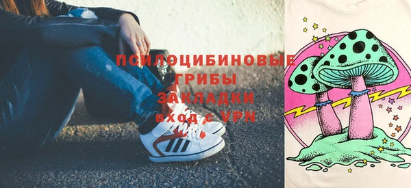 прущий лед Арсеньев