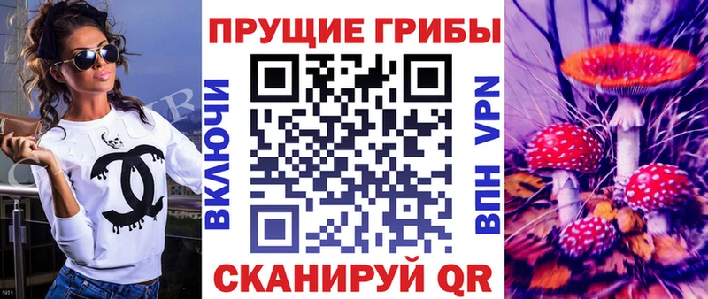 Купить  Суджа  Галлюциногенные грибы GOLDEN TEACHER 