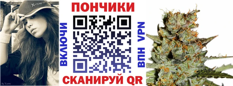Купить где  Суджа  Канабис конопля 